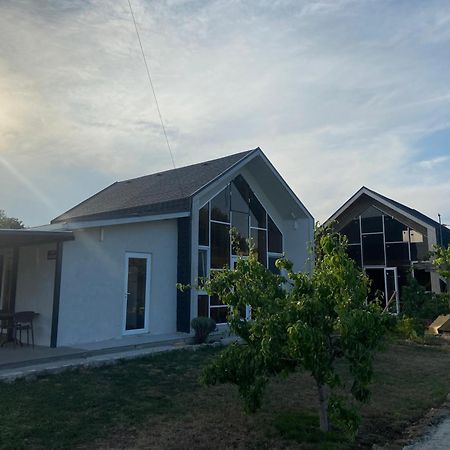 Улица Лазурна Otel Tyulenovo Oda fotoğraf