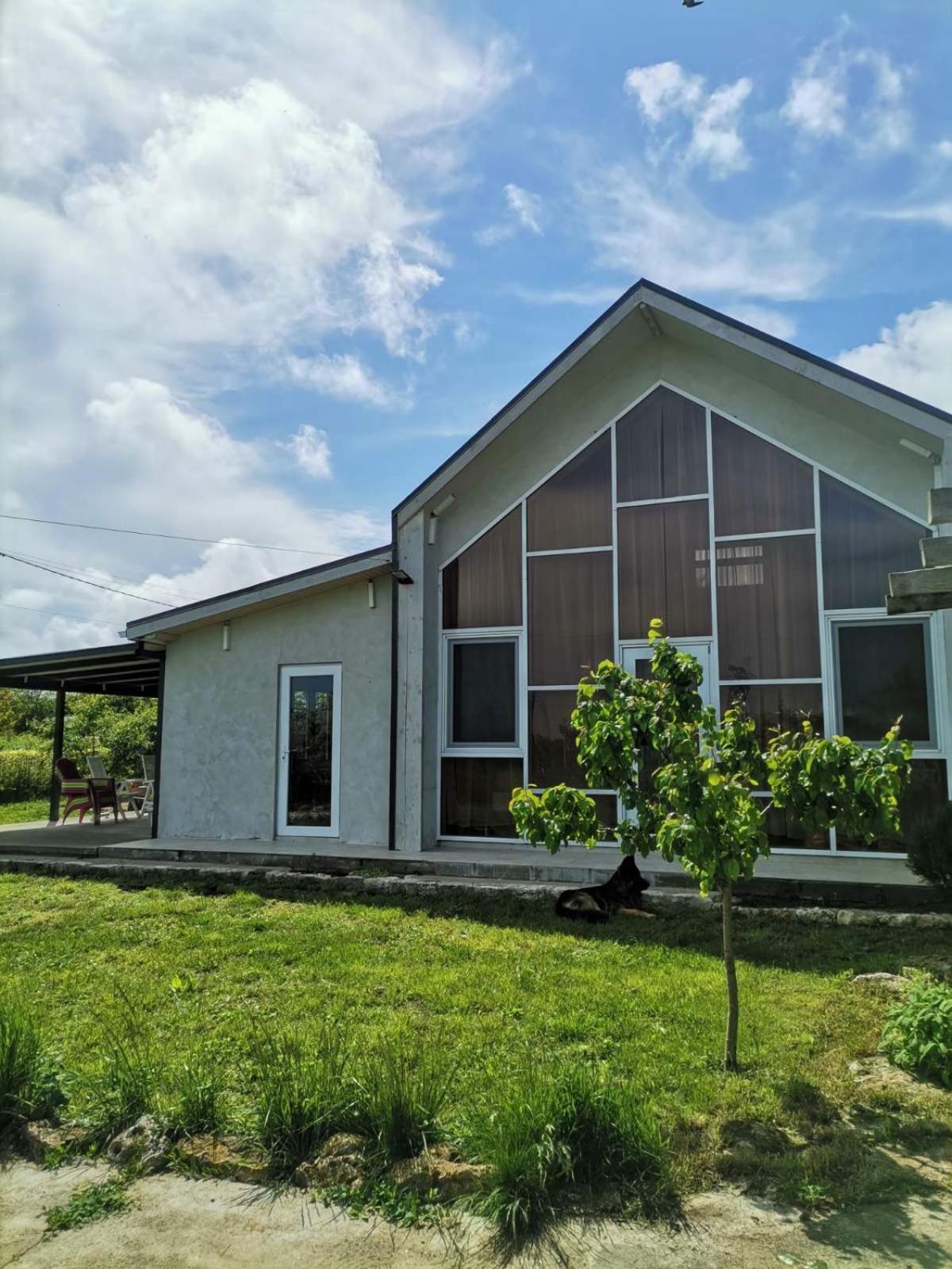 Улица Лазурна Otel Tyulenovo Oda fotoğraf